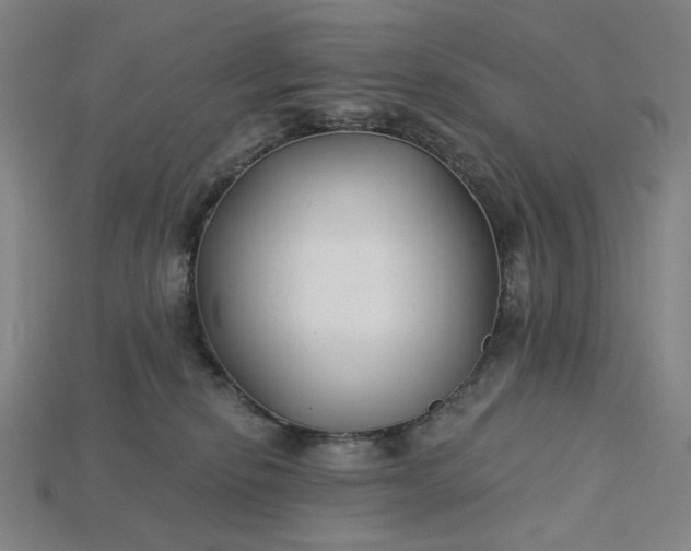 X0000115240278200911131710