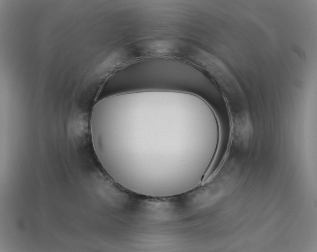 X0000115240284200911131710