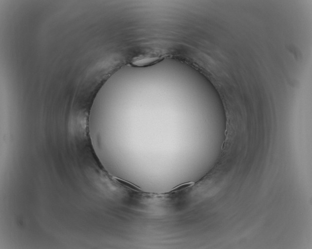 X0000115240288200911131710