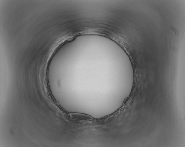 X0000115240289200911131710