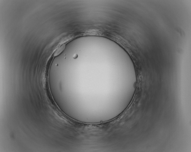 X0000115240290200911131710