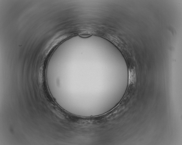 X0000115240291200911131710
