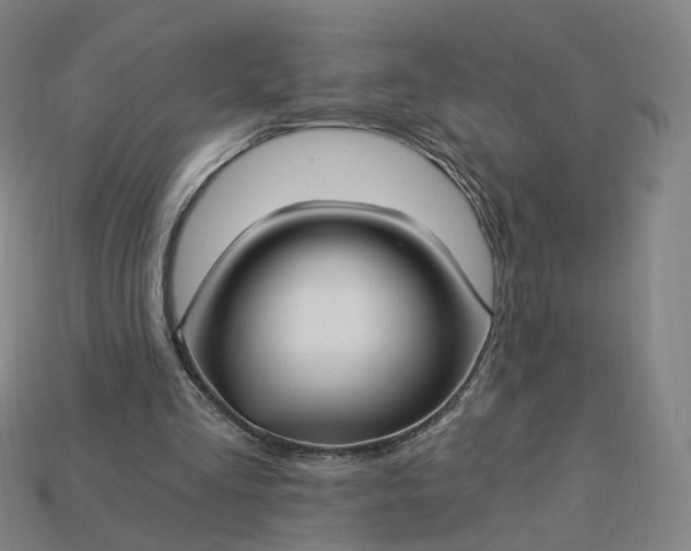 X0000115240293200911131710