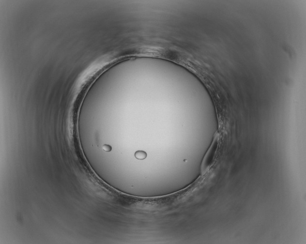 X0000115240294200911131710