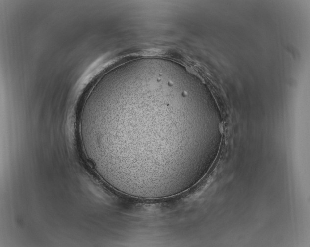 X0000115240295200911131710