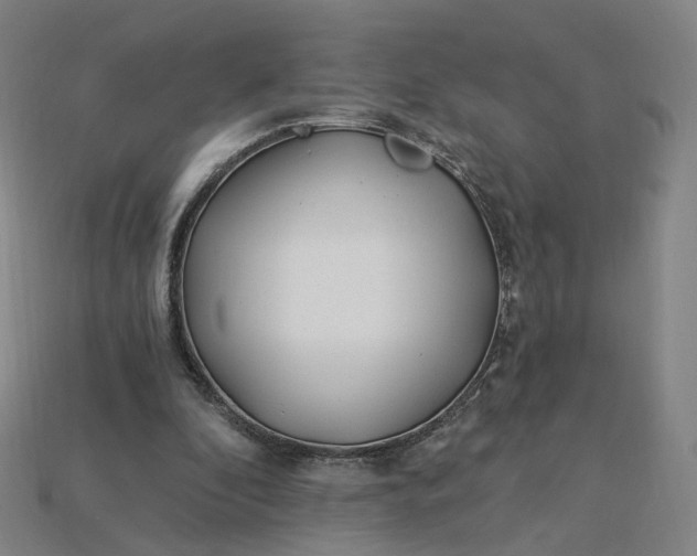 X0000115240296200911131710