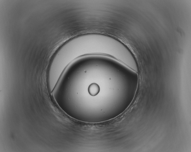 X0000115240297200911131710