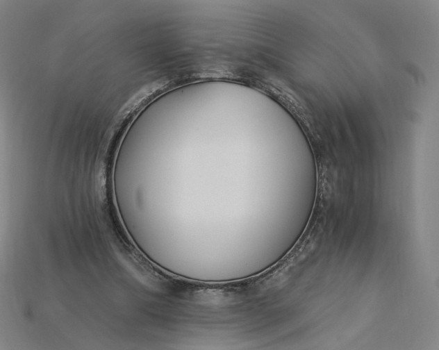 X0000115240298200911131710