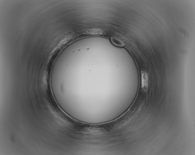 X0000115240300200911131710