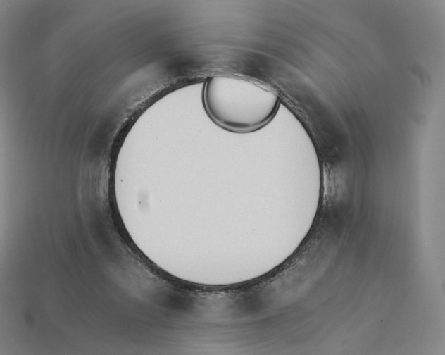 X0000115240301200911131710