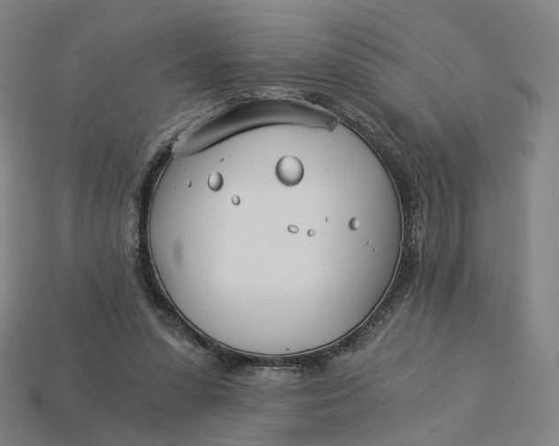 X0000115240303200911131710
