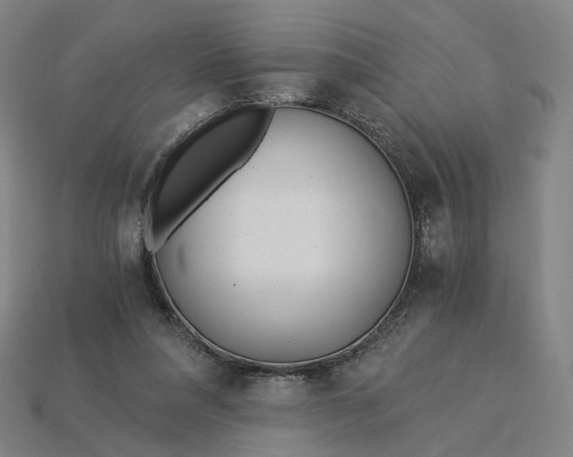 X0000115240304200911131710