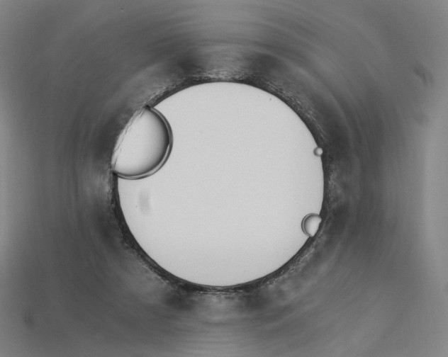 X0000115240305200911131710