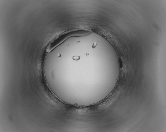 X0000115240306200911131710