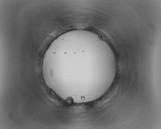 X0000115240307200911131710