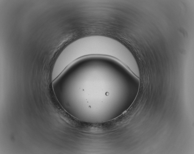 X0000115240308200911131710
