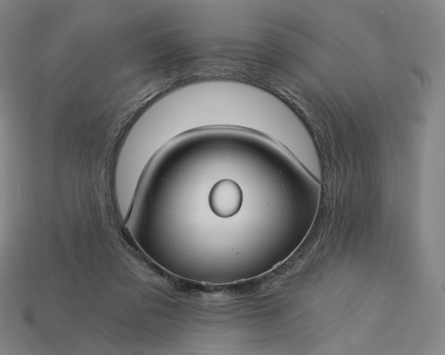 X0000115240309200911131710