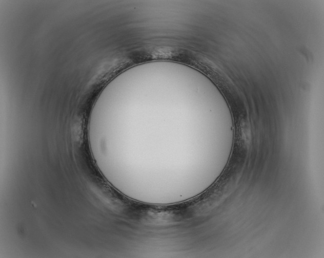 X0000115240311200911131710
