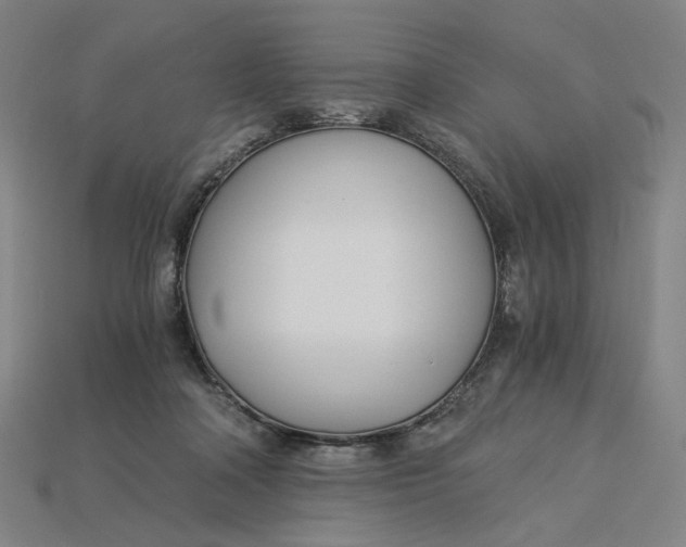 X0000115240314200911131709