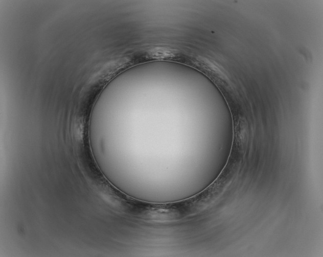 X0000115240315200911131709