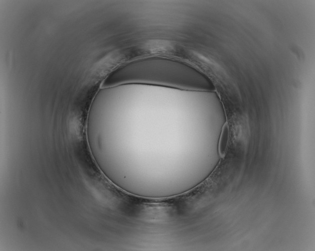 X0000115240316200911131709