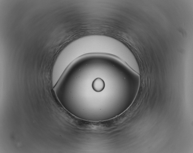 X0000115240317200911131709