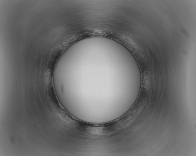 X0000115240318200911131709