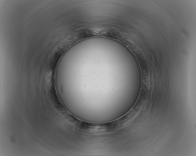 X0000115240319200911131709