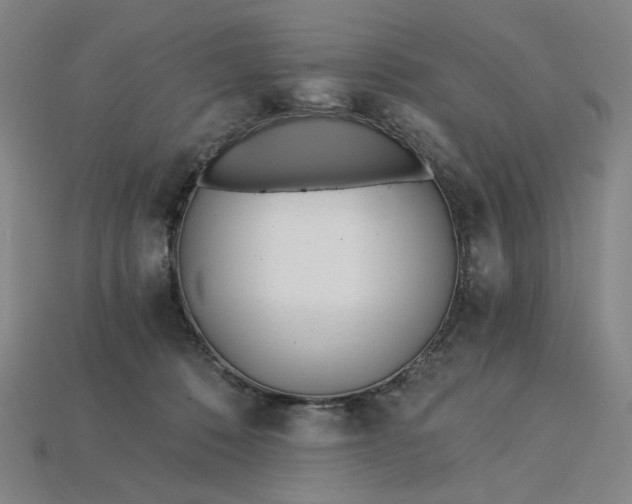 X0000115240320200911131709