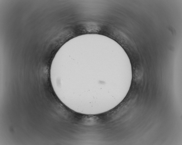 X0000115240321200911131709