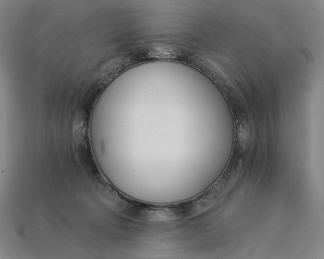 X0000115240322200911131709
