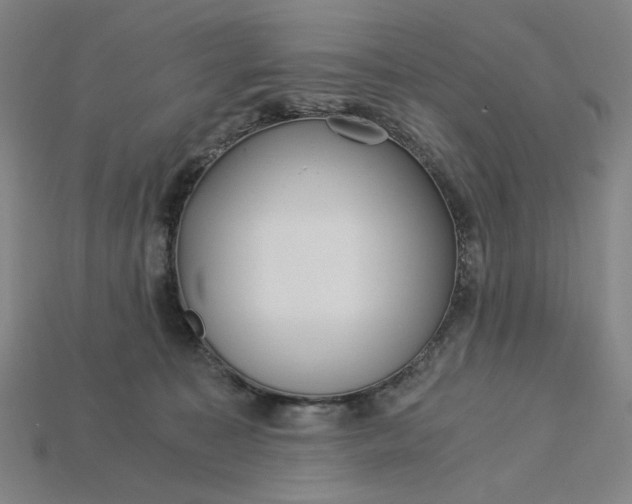 X0000115240323200911131709