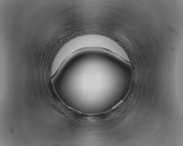 X0000115240324200911131709