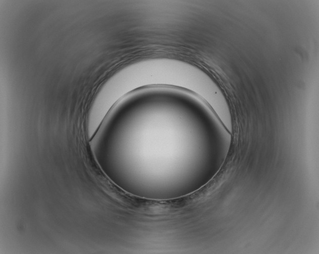 X0000115240325200911131709