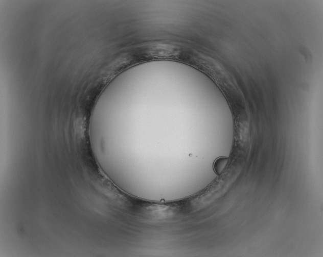 X0000115240326200911131709