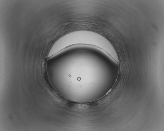X0000115240327200911131709