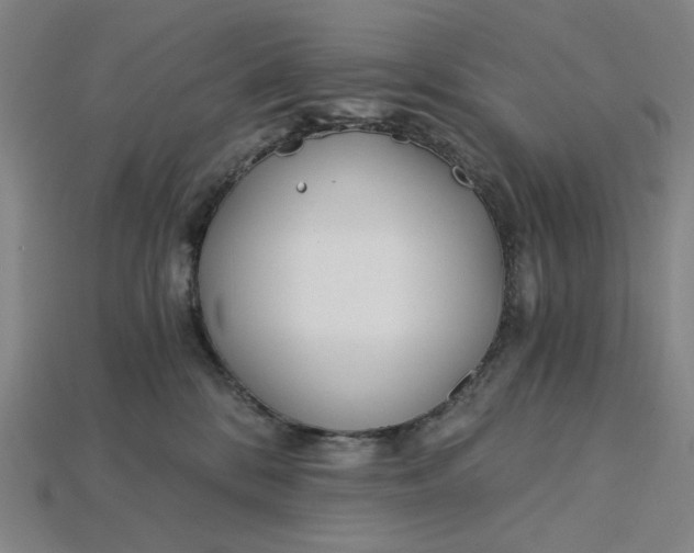 X0000115240328200911131709