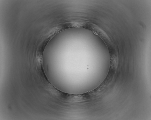 X0000115240329200911131709
