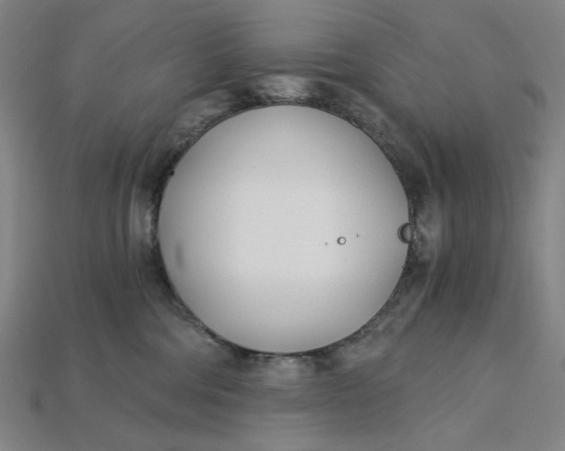 X0000115240330200911131709