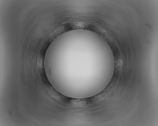 X0000115240331200911131709