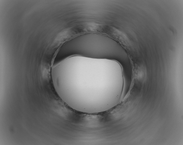 X0000115240332200911131709