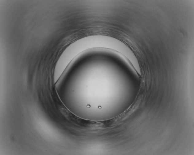 X0000115240333200911131709