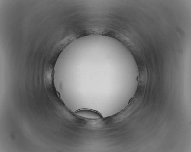 X0000115240334200911131709