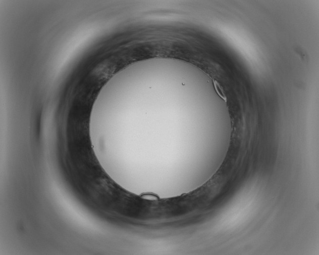X0000115240335200911131709