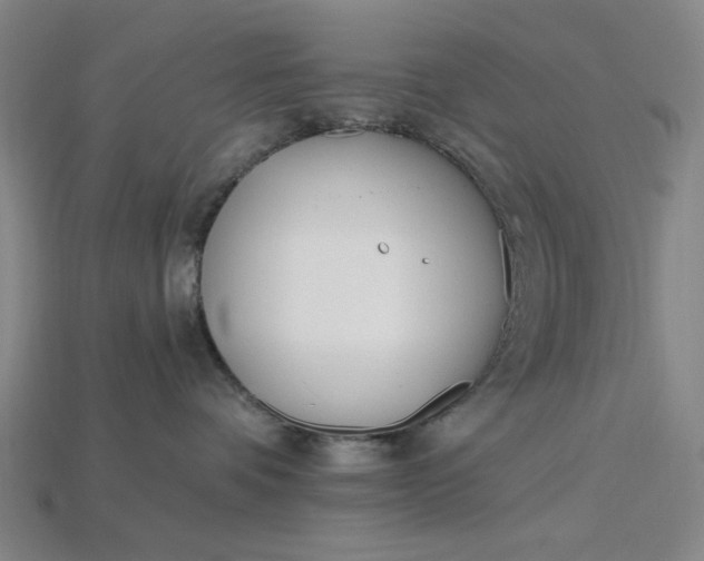 X0000115240336200911131709