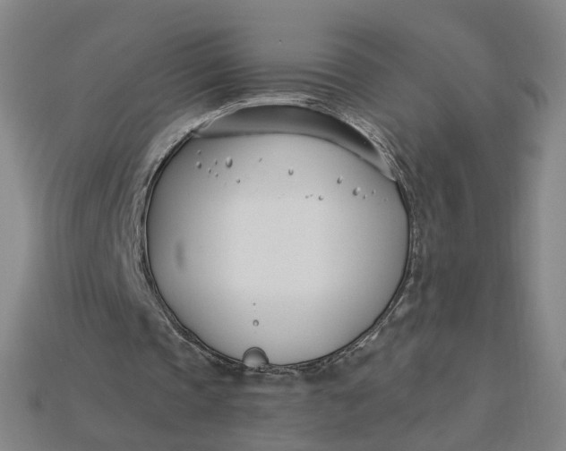 X0000115240337200911131709