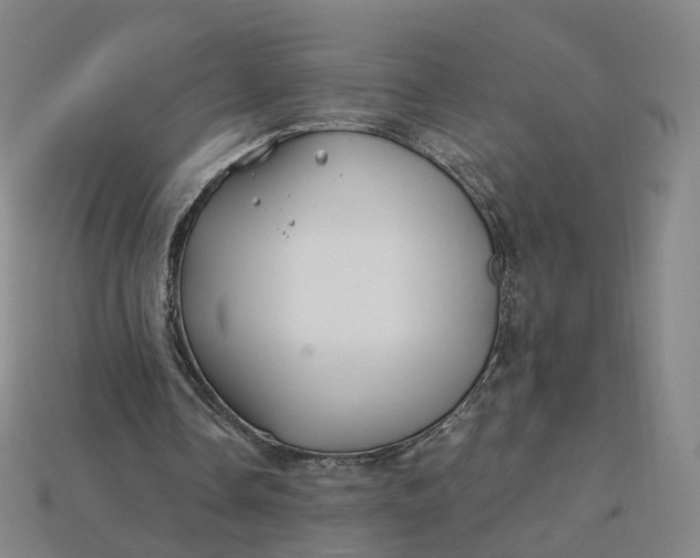 X0000115240338200911131709