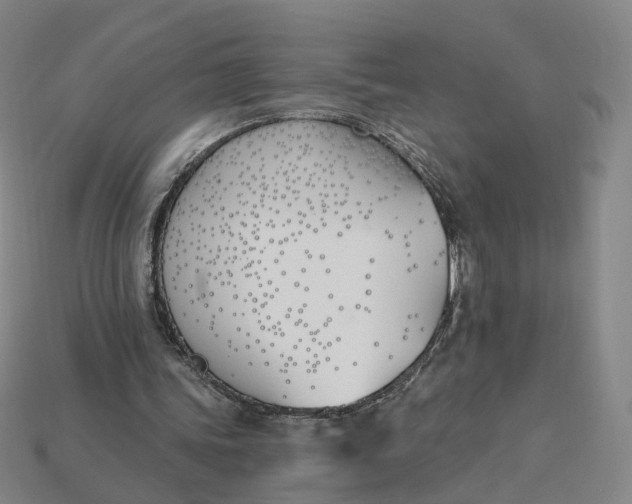 X0000115240339200911131709