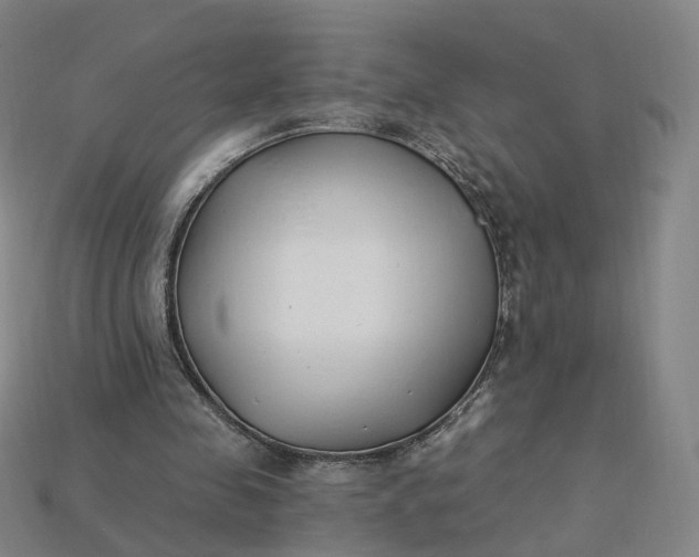 X0000115240341200911131709