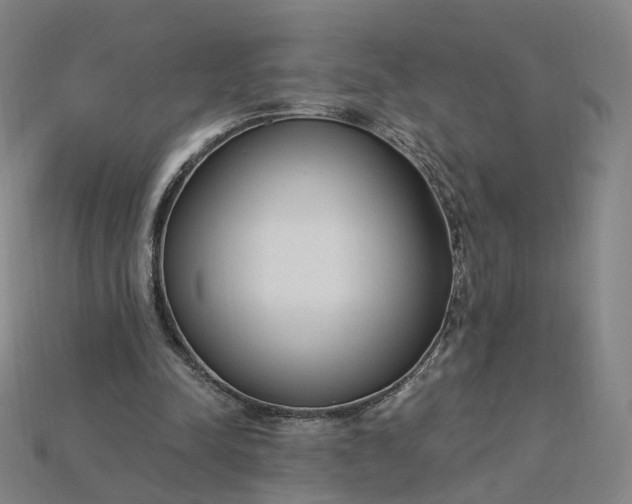 X0000115240342200911131709